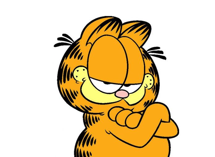 Garfield, dettaglio