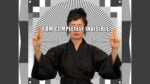 Hito Steyerl, How Not To Be Seen. A Fucking Didactic Educational, 2013