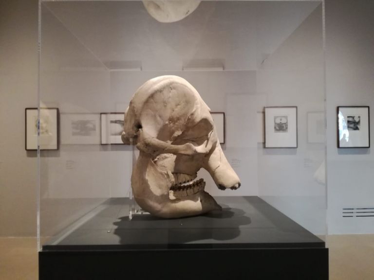  Il disegno dello scultore. Henry Moore. Museo Novecento, Firenze. ph Valentina Silvestrini