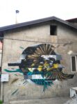 Psiko, Parus major, Parenti (CS), Via Silana 3, 2018. Photo credits l’artista