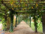 Reggia della Venaria Reale. Giardini. Photo Claudia Zanfi