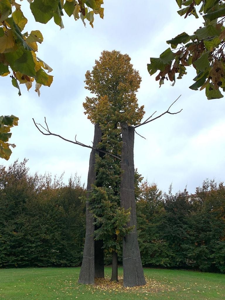 Reggia della Venaria Reale. Giuseppe Penone. Photo Claudia Zanfi