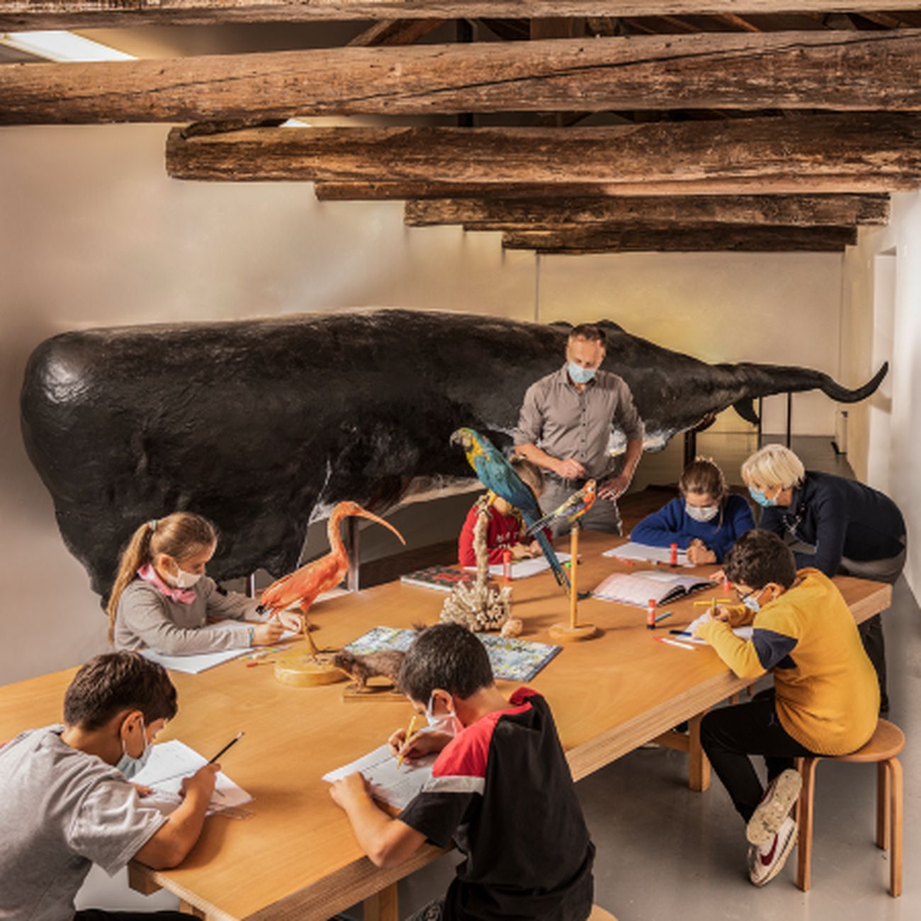 Reggio Emilia. La scuola al museo