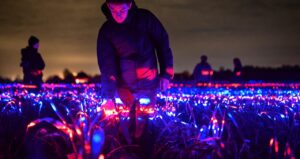 Grow. La nuova installazione di Daan Roosegaarde in Olanda