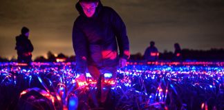 Daan Roosegaarde. Grow - 2021