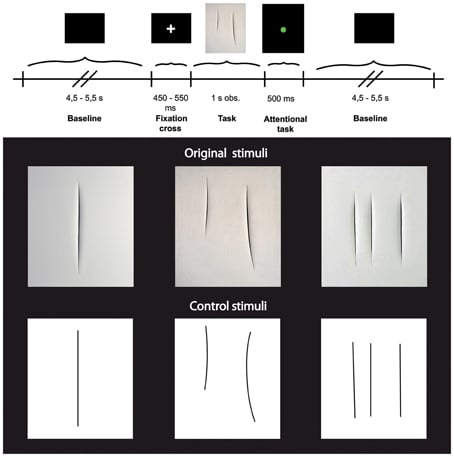 Abstract art and cortical motor activation an EEG study