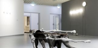 Artissima 2020. Stasi Frenetica. GAM Galleria Civica d’Arte Moderna e Contemporanea, Torino. Photo Perottino – Piva – Artissima
