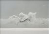 Benedetto Pietromarchi, Noon clouds, 14 luglio 2015, 2016, stampa inkjet su polpa di legno, radice e spunzonatura a secco, cm 70x100. Collezione Farnesina