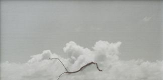Benedetto Pietromarchi, Noon clouds, 14 luglio 2015, 2016, stampa inkjet su polpa di legno, radice e spunzonatura a secco, cm 70x100. Collezione Farnesina