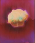Christelle Boulé, Through Glass #52, 2019