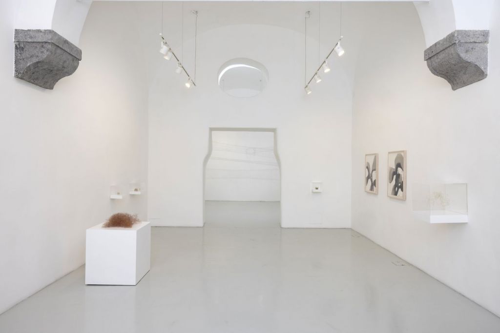 La galleria Studio Trisorio apre una sede estiva a Capri. Ed è un ritorno