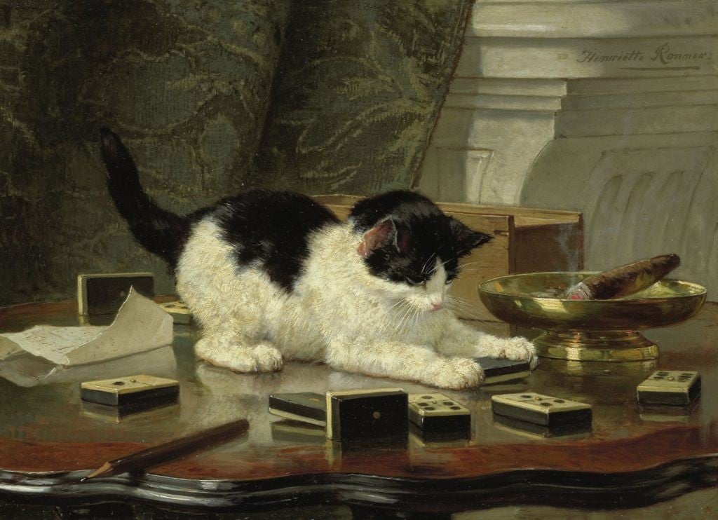 Gatti, Henriette Ronner Knip