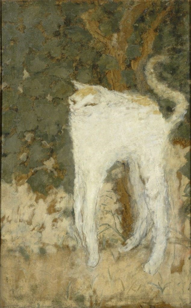 Gatti, Pierre Bonnard