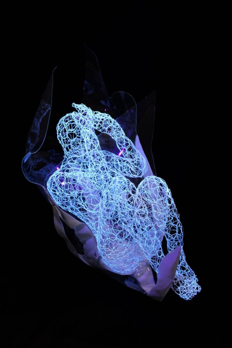 Giuseppe Inglese, In fiore, 2018, filo di acciaio inox e plexi modellati a mano