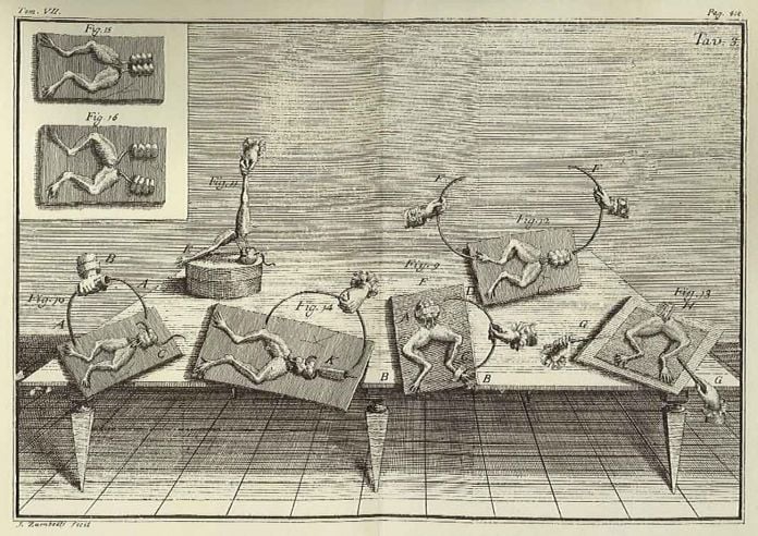 Il galvanismo illustrato in De viribus electricitatis in motu musculari commentarius (1791) dello stesso Luigi Galvani