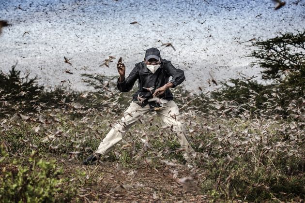 Fighting Locust Invasion in East Africa © Luis Tato, Spain, for The Washington Post. Henry Lenayasa, chief of the settlement of Archers Post, in Samburu County, Kenya, tries to scare away a massive swarm of locusts ravaging grazing area, on 24 April. Locust swarms devastated large areas of land, just as the coronavirus outbreak had begun to disrupt livelihoods
