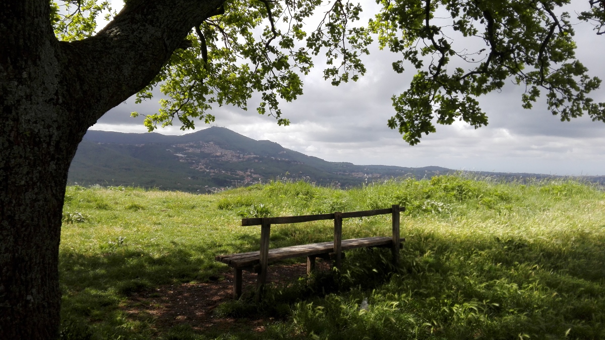 Parco dei Castelli Romani 