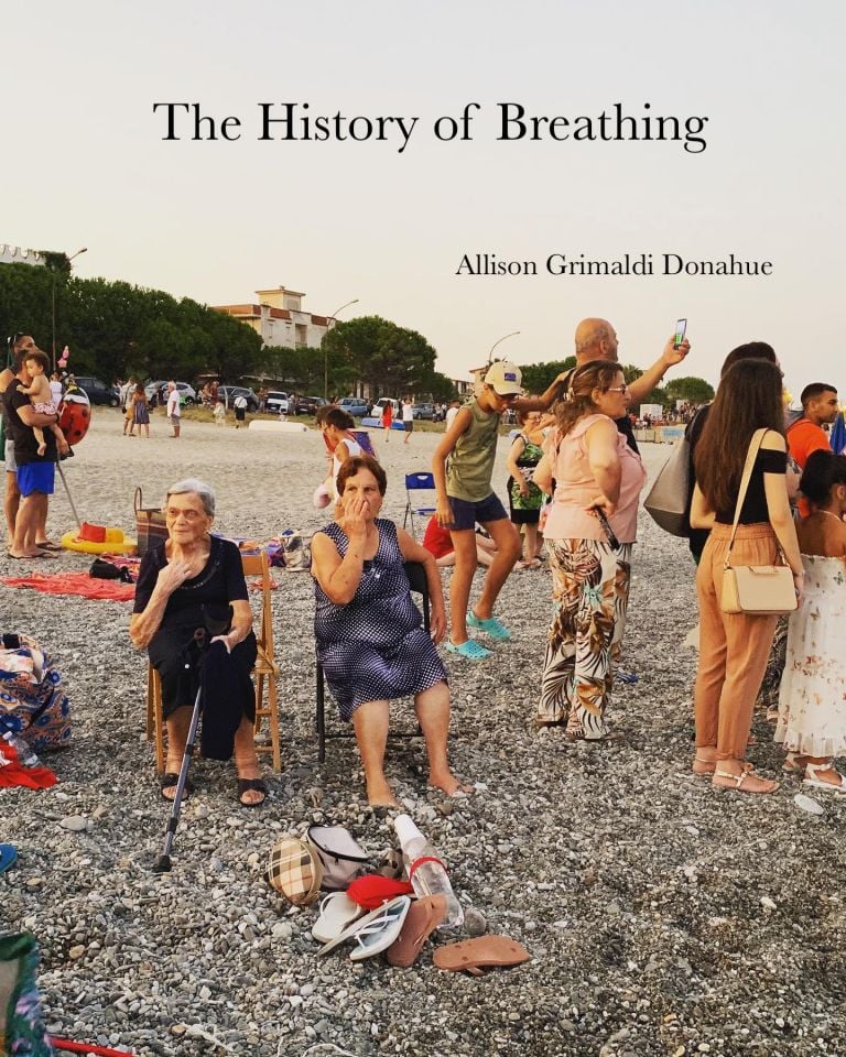 Allison Grimaldi Donahue, The History of Breathing. Copertina del libretto pubblicato da Gavin Brown Enterprise, Roma