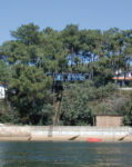 Cap Ferret House - Photo courtesy of Lacaton & Vassal