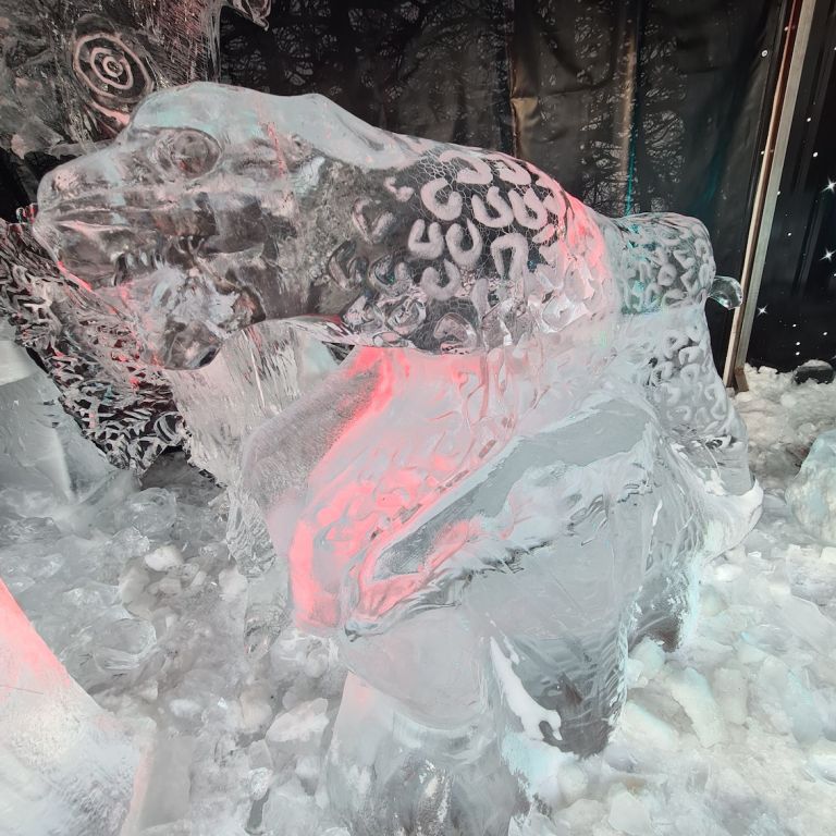 La scultura di ghiaccio dedicata a Dante a Pesaro