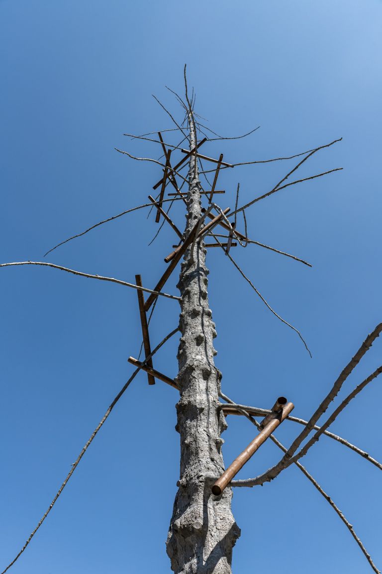 Giuseppe Penone, Abete, piazza della Signoria, Firenze © photo OKNOstudio