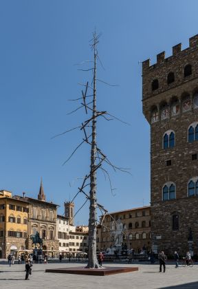 Giuseppe Penone, Abete, piazza della Signoria, Firenze © photo OKNOstudio