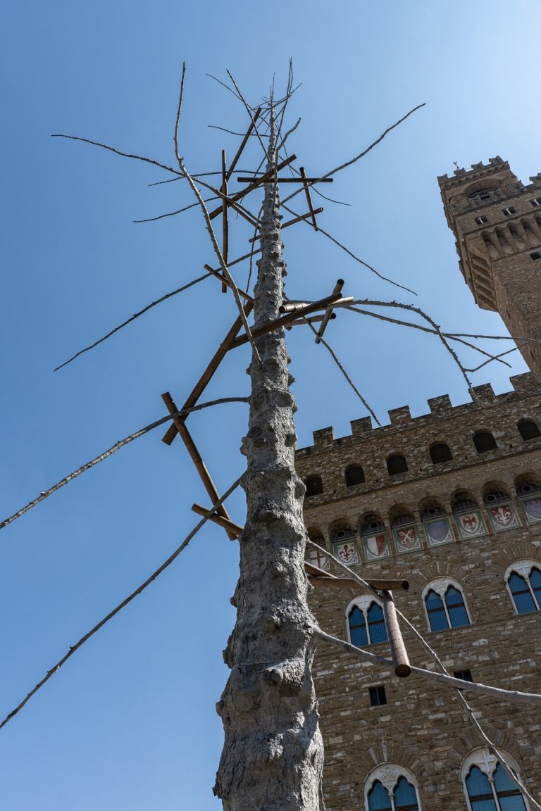 Giuseppe Penone, Abete, piazza della Signoria, Firenze © photo OKNOstudio