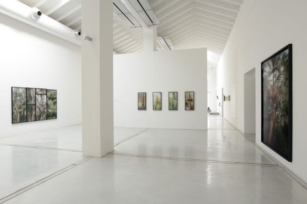 Vincenzo Castella, Mimesis - 3rd Stone From The Sun, exhibition view at Studio La Città, Verona 2021. Photo Michele Alberto Sereni