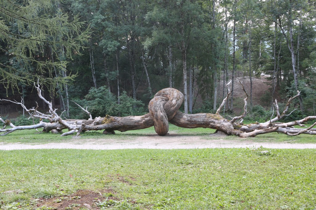 Henrique Oliveira, Common Root, 2019. Photo Arte Sella