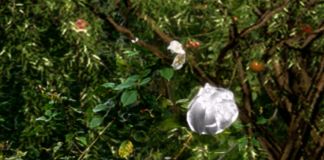Il Giardino di Maresa. L'artista Mariagrazia Pontorno e il suo primo NFT