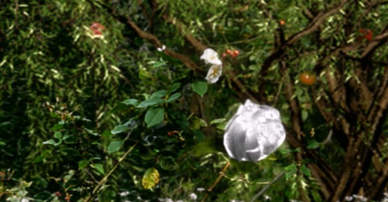 Il Giardino di Maresa. L'artista Mariagrazia Pontorno e il suo primo NFT