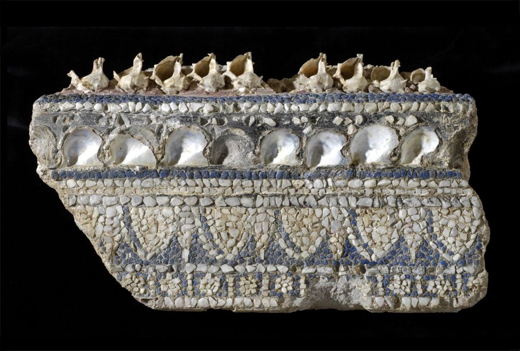 Antiquarium Comunale, Cornice di mosaico parietale con conchiglie, metà I sec. d.C.