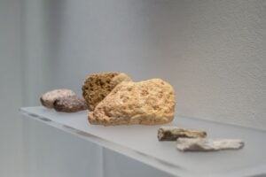 Archeologia della materia. Caterina Morigi in mostra a Reggio Emilia