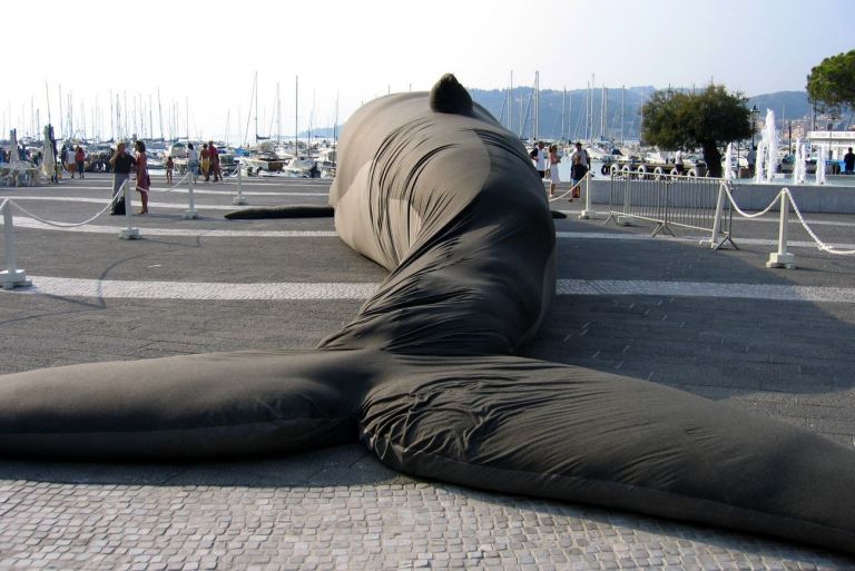 Claudia Losi, Balena montata in occasione di “Balena Project e altre storie”, a cura di Gabi Scardi, Piazza Garibaldi, Lerici, 2004