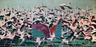 Claudio Cintoli, Flamingos, 1966 67, acrilico su tela, cm 151 x 260. Collezione Virna Lisi (Pieralisi)
