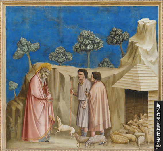 Giotto, Gioacchino tra i pastori. Foto Haltadefinizione