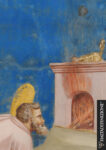 Giotto, Sacrificio di Gioacchino, dettaglio. Foto Haltadefinizione