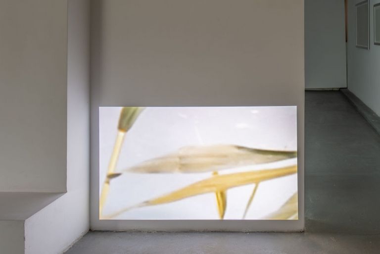 Iulia Ghita, Landscape 2, 2018, video, 1'15'' (loop). Photo Sebastiano Luciano. Courtesy AlbumArte