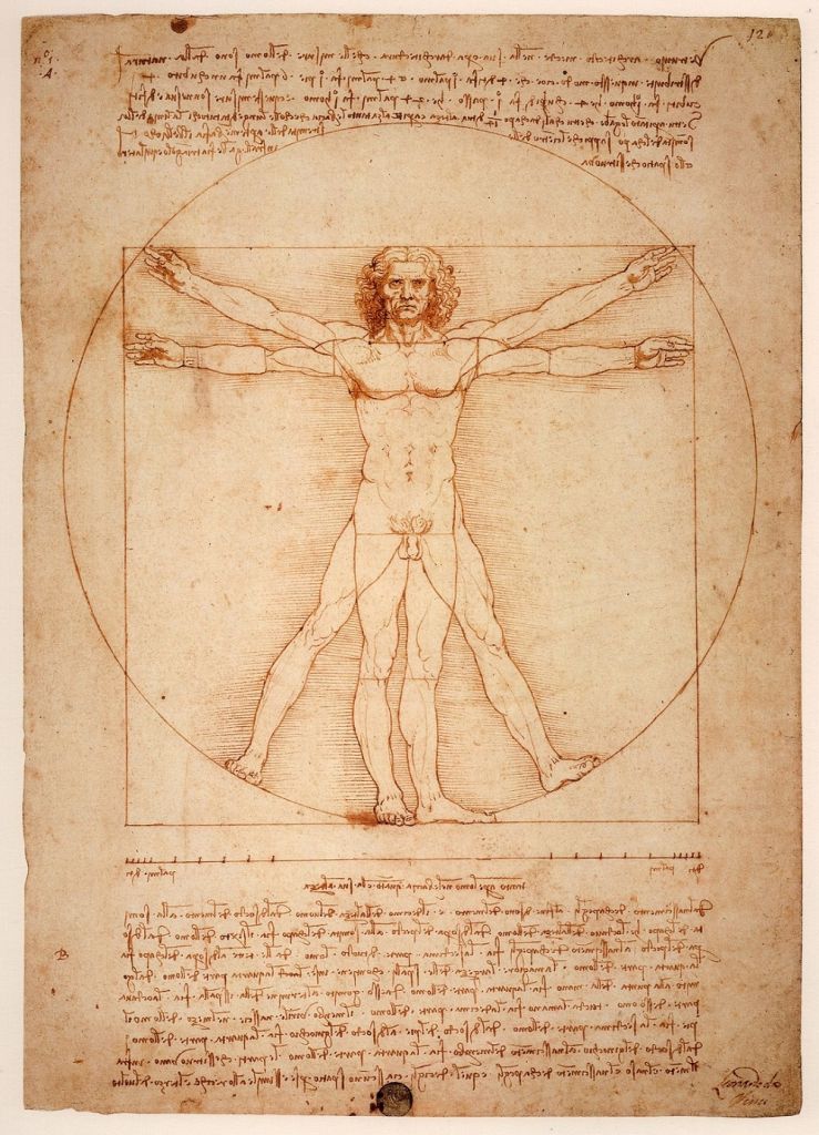 Leonardo a Livorno. Grande mostra sui disegni originali del maestro rinascimentale