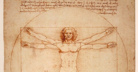 Leonardo a Livorno. Grande mostra sui disegni originali del maestro rinascimentale