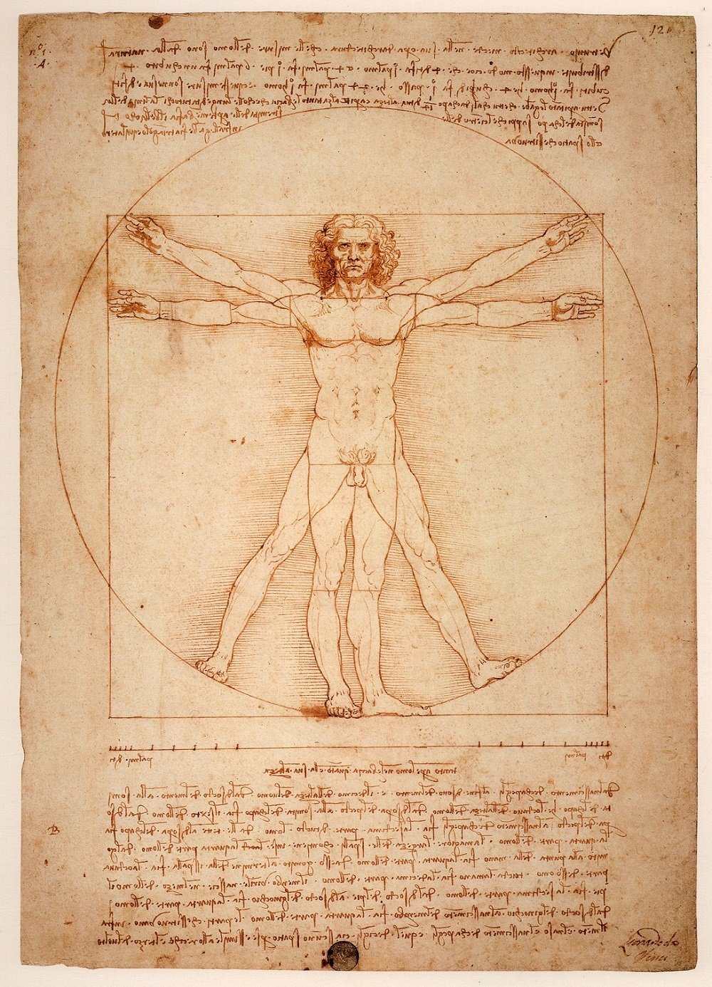 Leonardo Da Vinci, Uomo Vitruviano