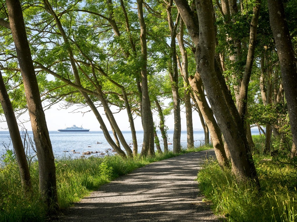 L’isola di Jeløya, Moss, Norway. Photo Eivind Lauritzen. Courtesy Galleri F 15 