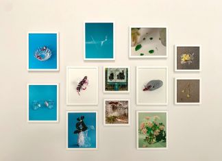 Natura risponde. Spazio 21, Lodi 2021. Annalisa Testa