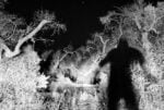 This land is my land, Jean-Marc Caimi & Valentina Piccinni