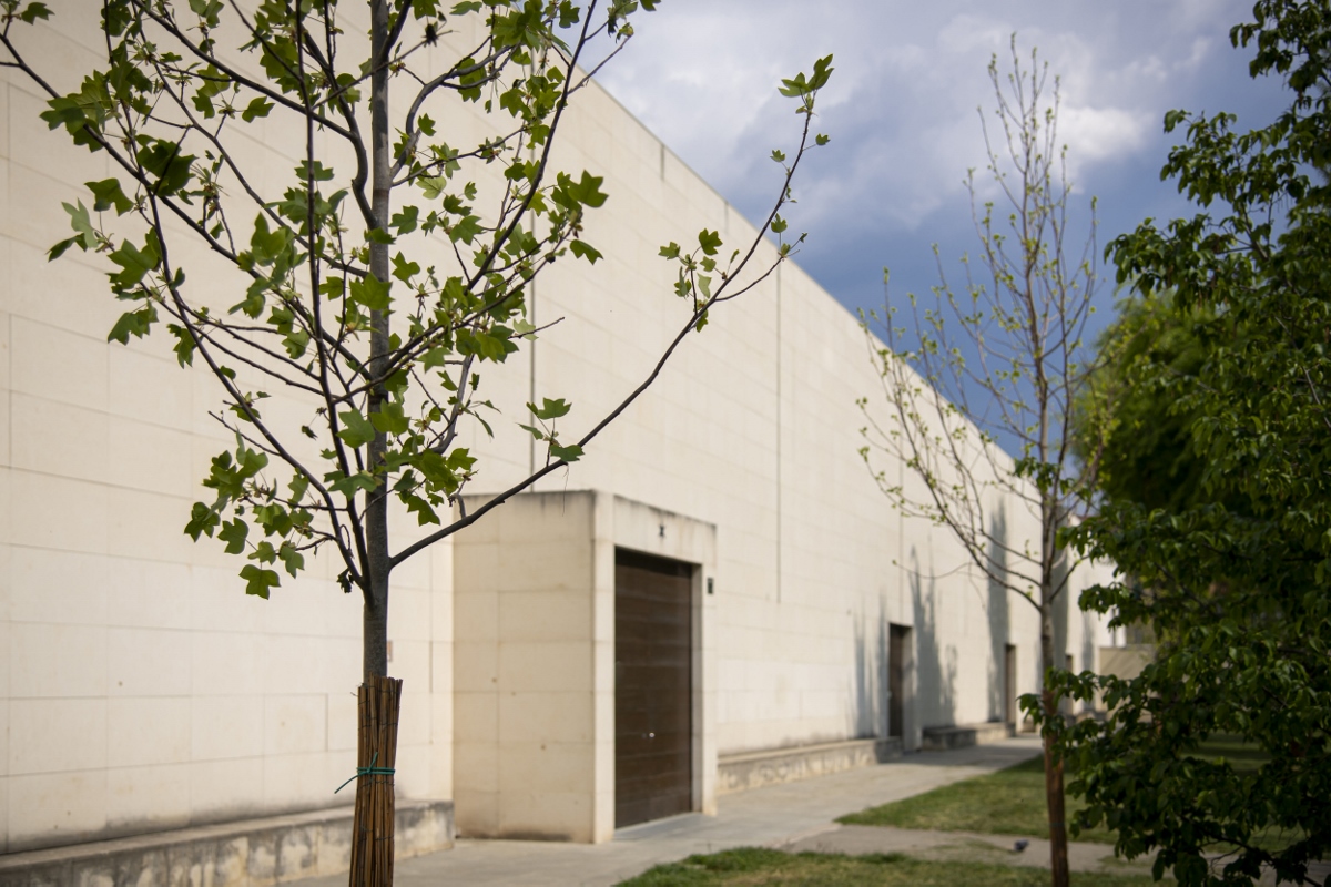 Bosco delle Artiste_foto di Giorgio Perottino