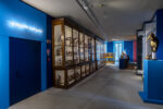 Museo di Scienze Naturali ph Alberto Lorenzina