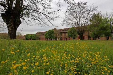 Cittadella Alessandria 