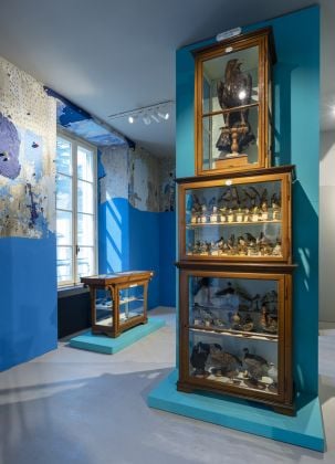 Museo di scienze naturali, collezione dell'Angelo, intervento cromatico alle pareti di Gianluca Quaglia ph Alberto Lorenzina
