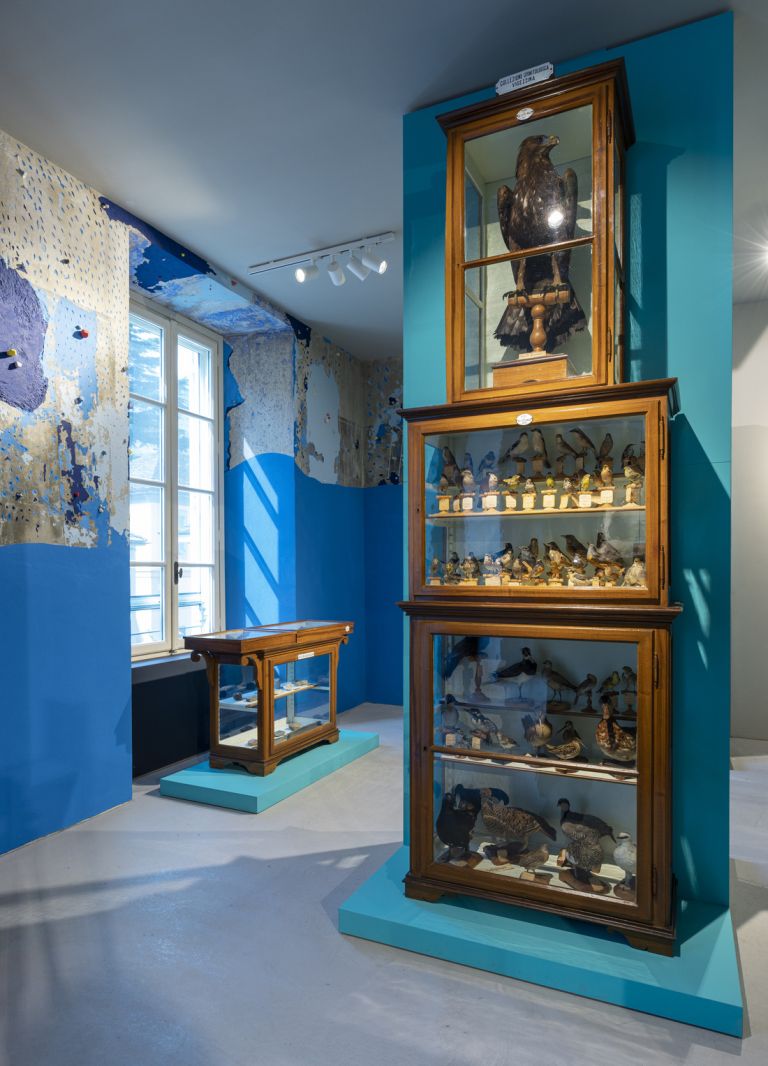 Museo di scienze naturali, collezione dell'Angelo, intervento cromatico alle pareti di Gianluca Quaglia ph Alberto Lorenzina
