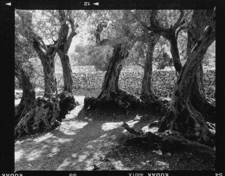 A Roof for Silence © Fouad Elkoury